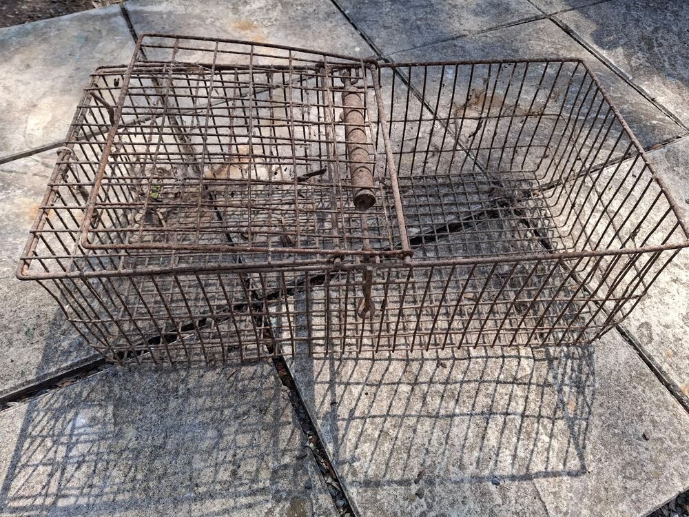   cage transport 
