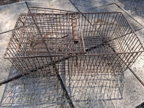 cage transport 10 85110 Sainte-cécile