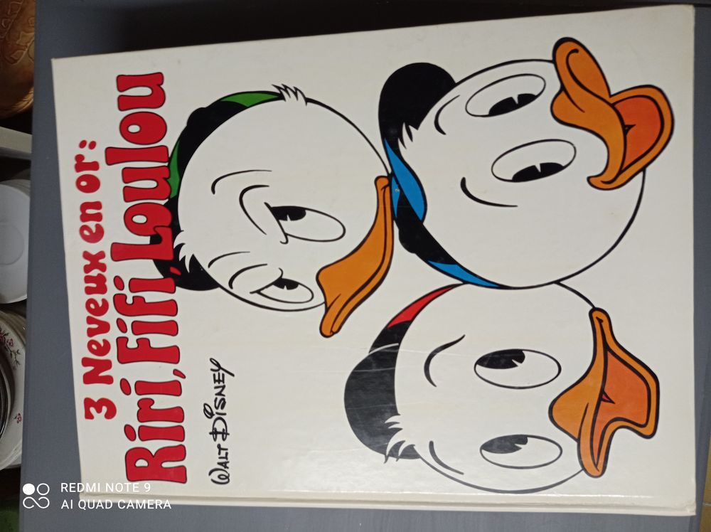3 grands livres de bande dessin&eacute;e de MICKEY DONALD et RIFI Livres et BD