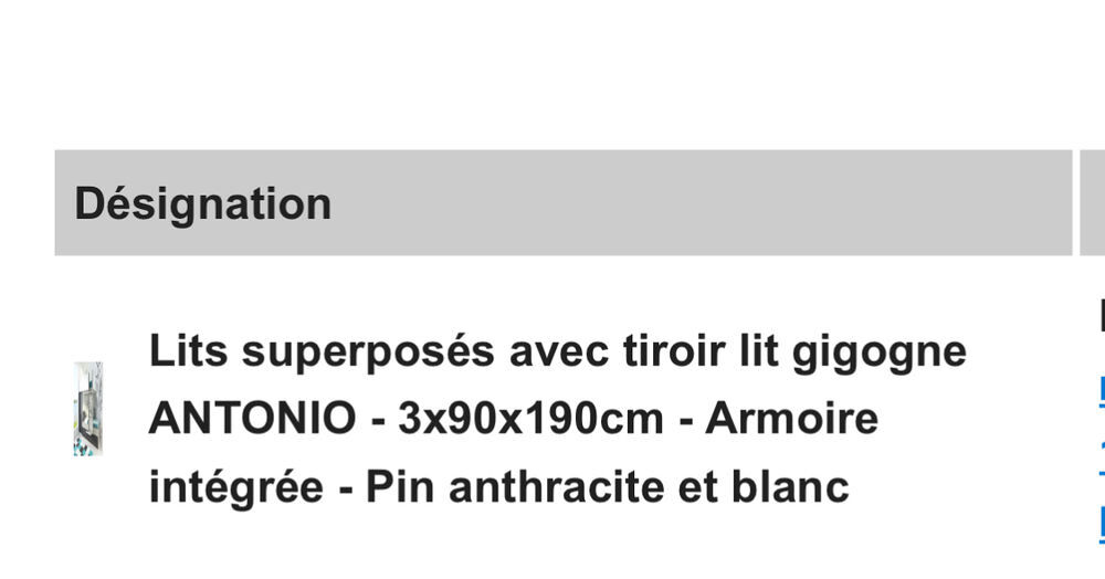 Lits superpos&eacute;s avec tiroir lit gigogne et rangement Mobilier enfants