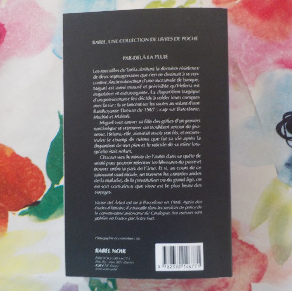 PAR-DELA LA PLUIE de Victor DEL ARBOL Ed. Babel Noir Livres et BD