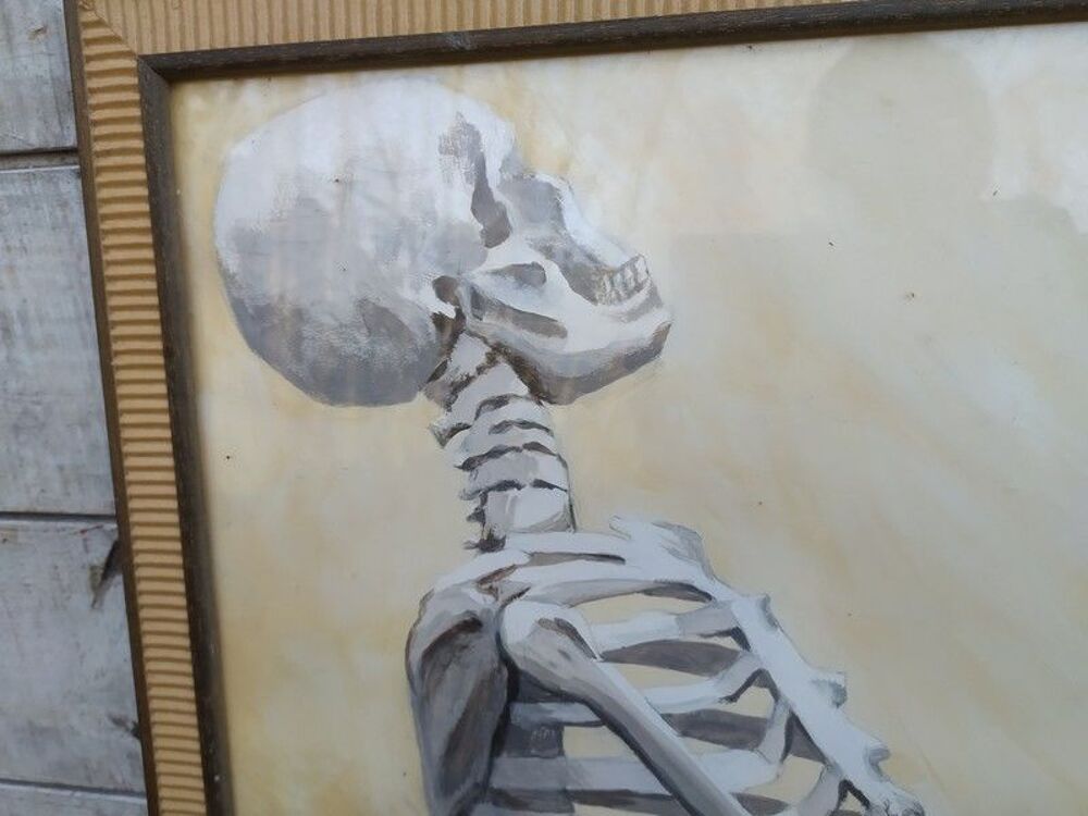 Tableau Peinture Squelette Cabinet de Curiosit&eacute; Anatomie 