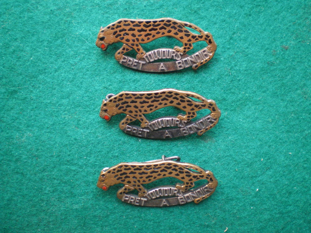 Insignes d'Infanterie - 119&deg; R&eacute;giment d'Infanterie. 