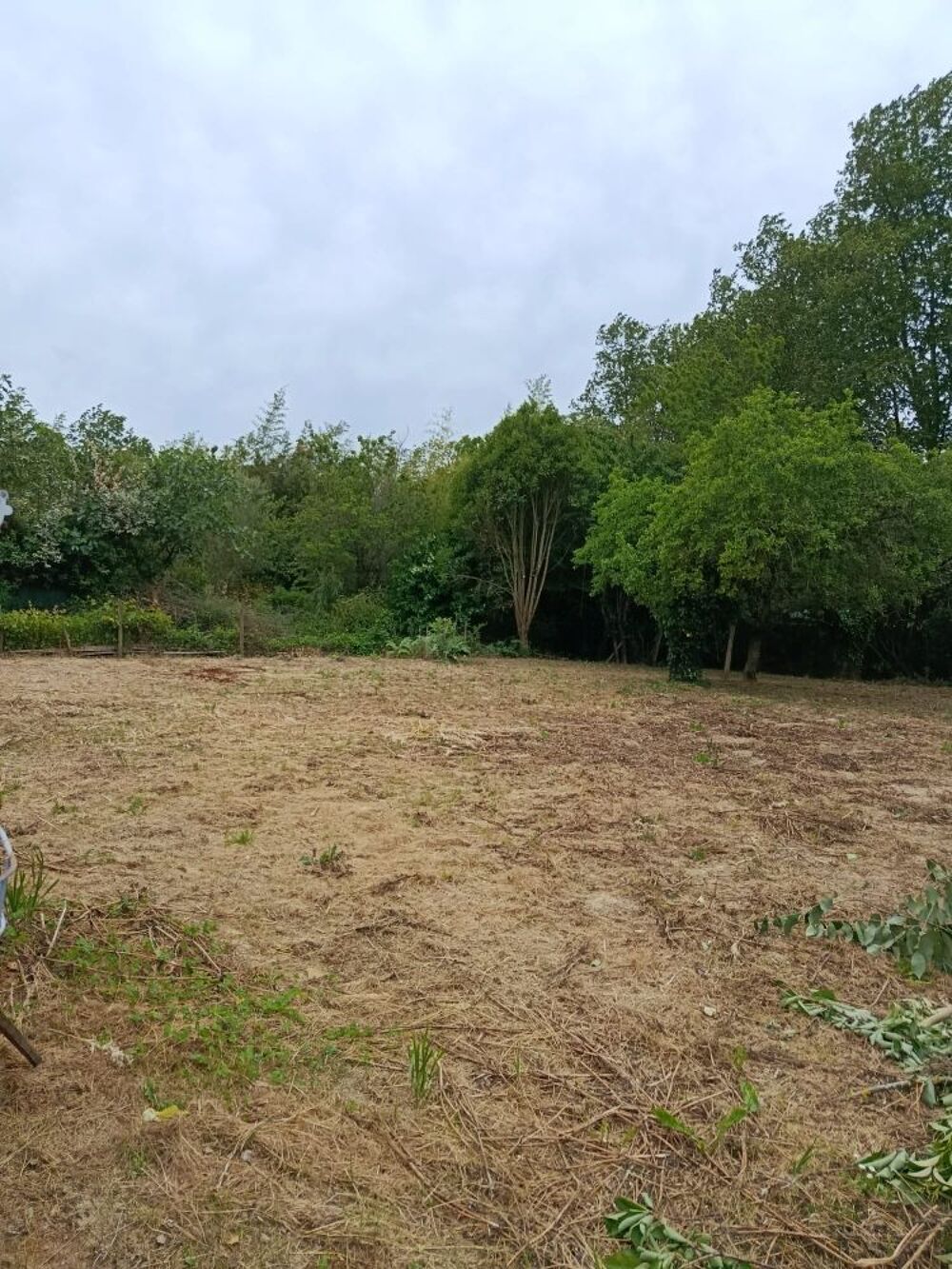 Vente Terrain Terrain constructible Saint-michel-de-lanès