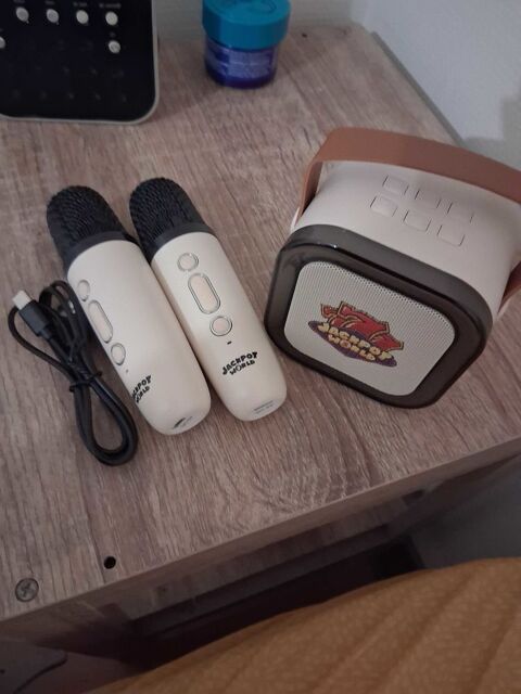 karaoké Bluetooth La Roche-sur-Yon (85)