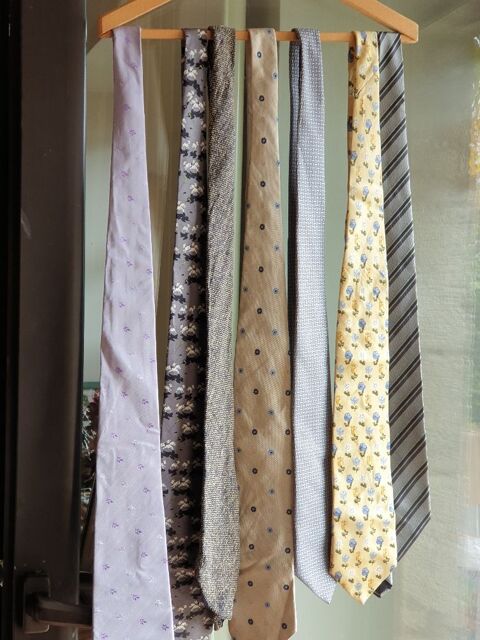 7 cravates de diff�rentes teintes, 1 porte cravates 7 Mouxy (73)