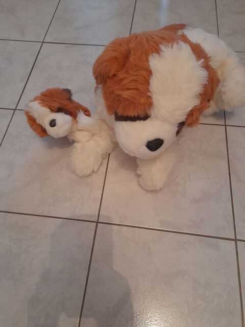 peluche 5 Saint-Laurent-de-la-Salanque (66)