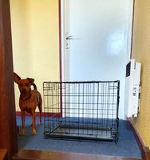   Cage pliante pour animal  