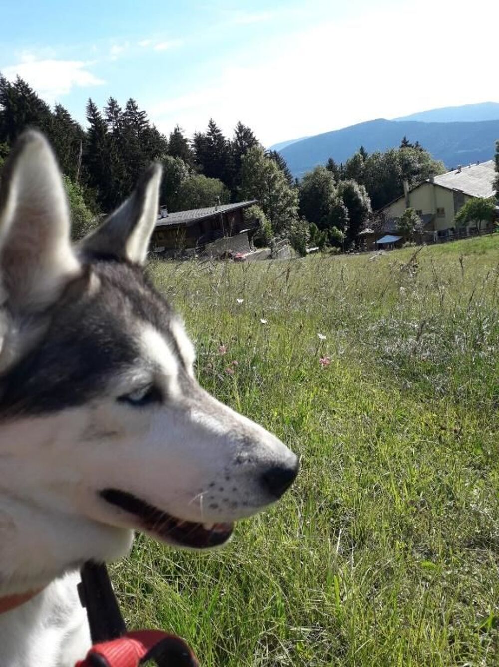 � vendre  Maison Villard-de-Lans (38250)