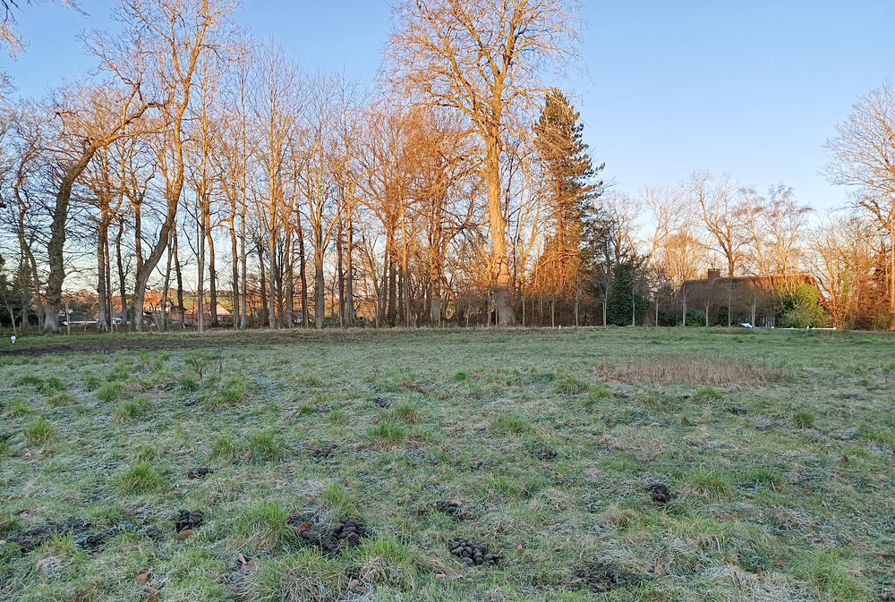 Vente Terrain SECTEUR VEULES LES ROSES, TERRAIN 1.020 m2 Veules-les-roses