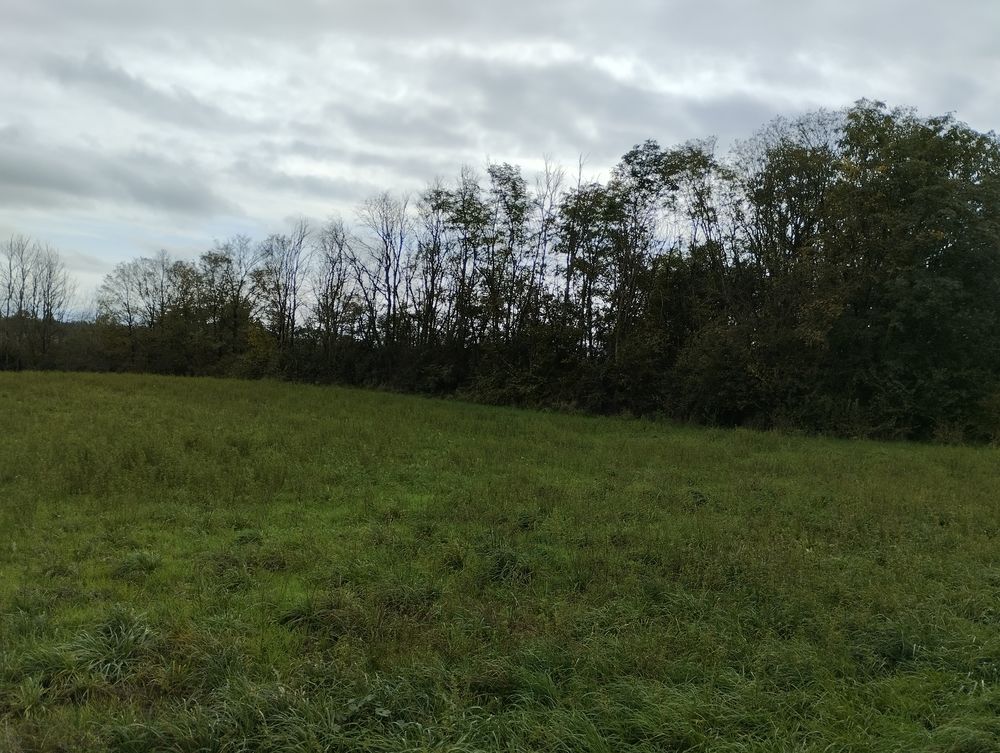 Vente Terrain Parcelle de bois Is-sur-tille