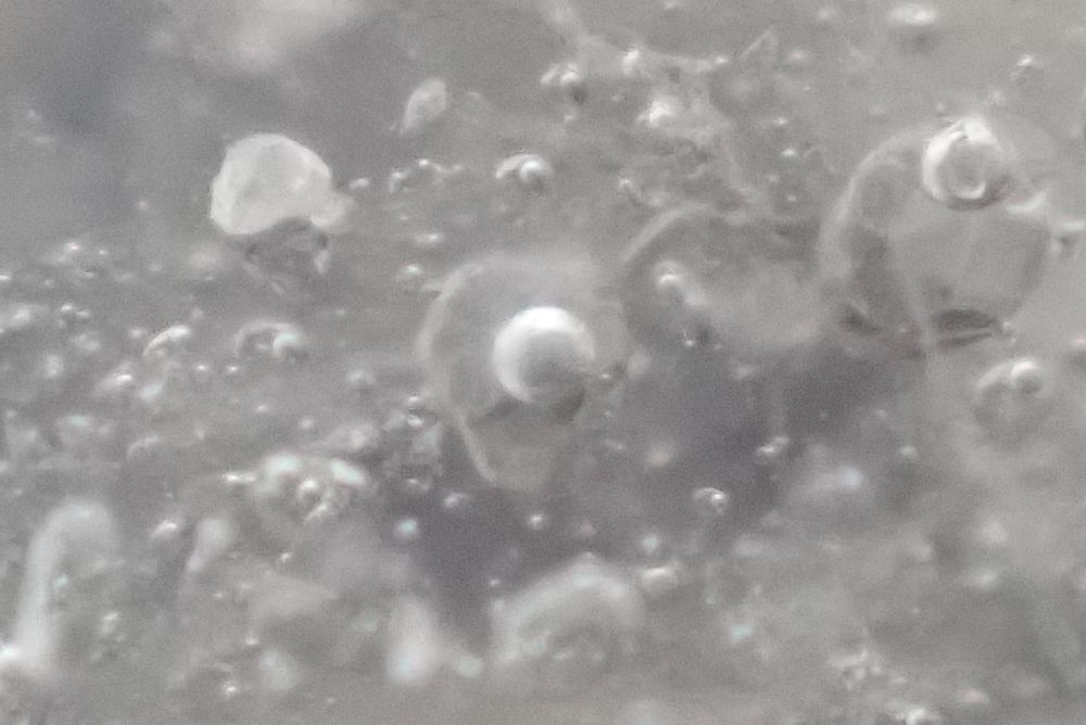 Fluorite &agrave; bulles + Pyrite Saint Jean-de-Maurienne Savoie Fr 