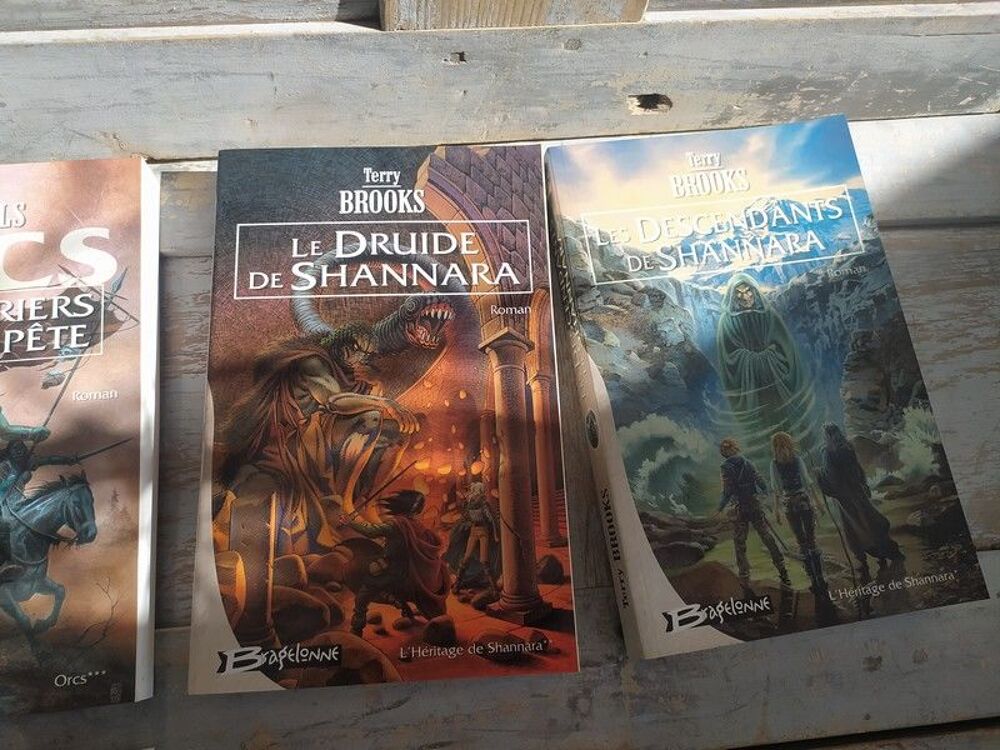 Lot Livres Romans Fantastiques Collection Bragelonne Livres et BD