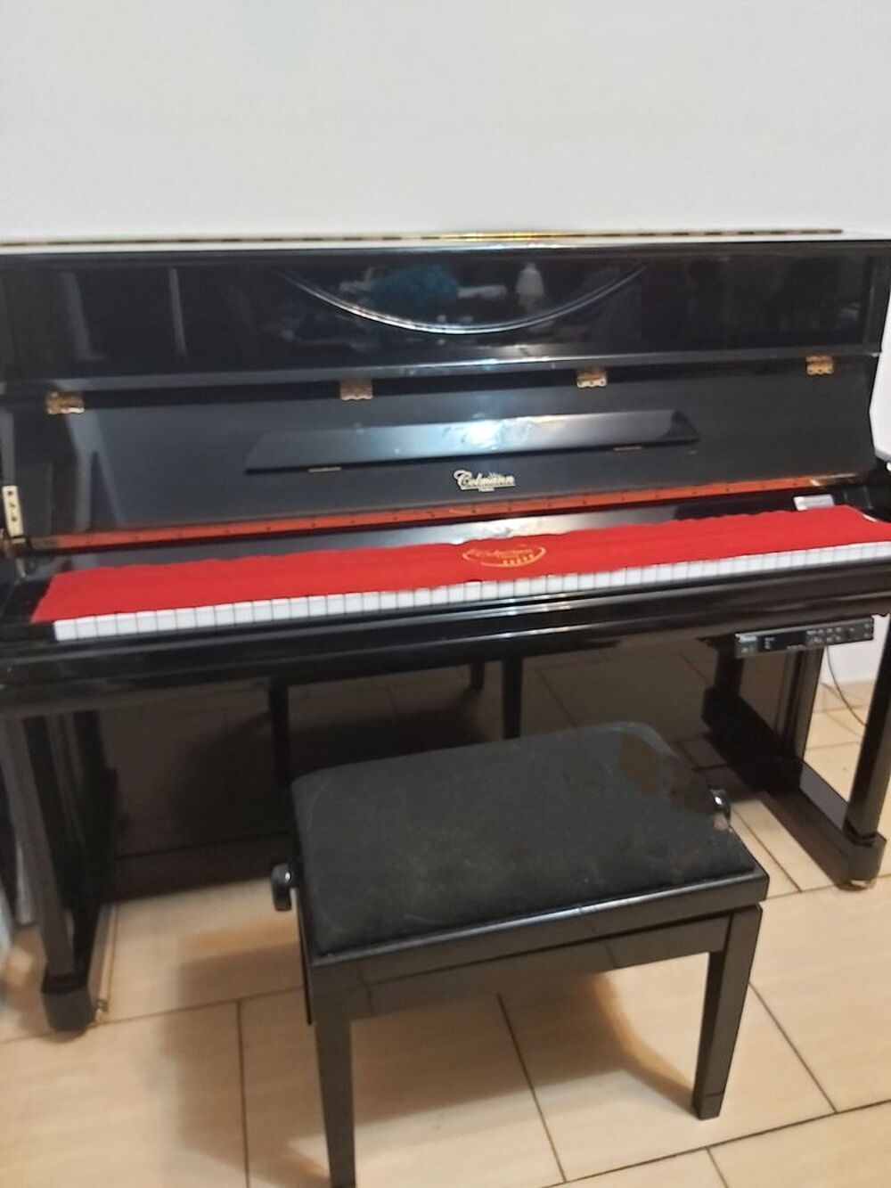 Piano hybride Instruments de musique