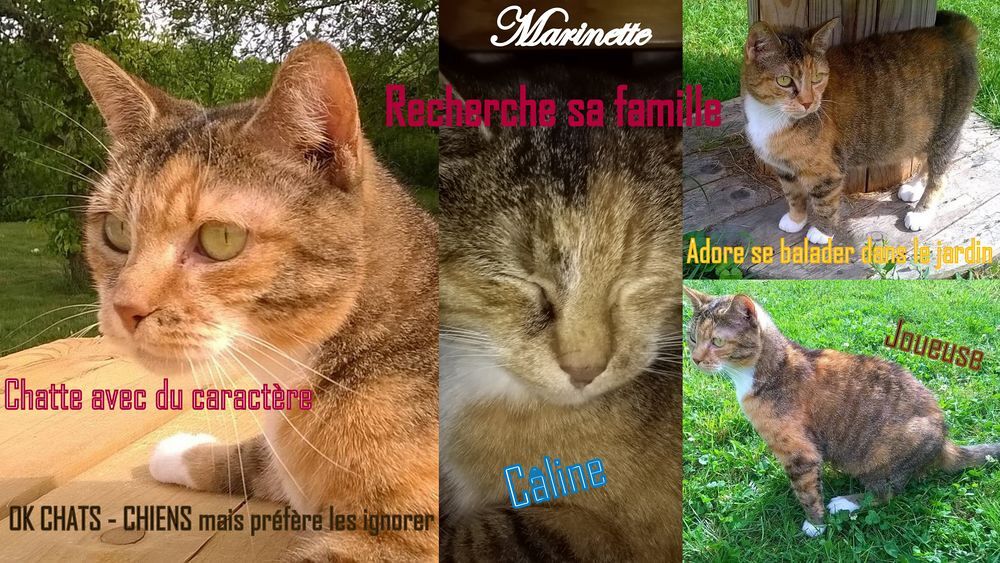   Marinette attend sa famille 