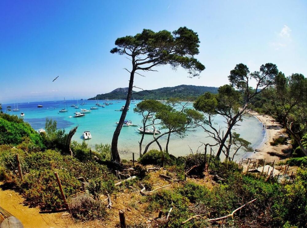   Superbe & Elgant Bateau  quai, Ile de Porquerolles Provence-Alpes-Cte d'Azur, Porquerolles (83400)