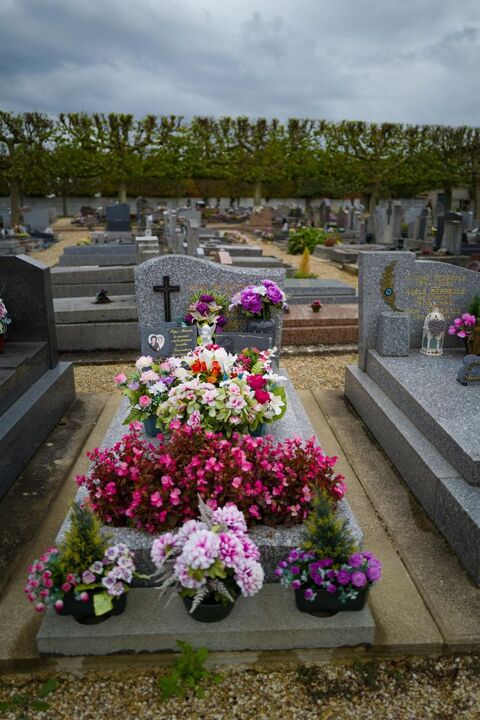 Entre ciel et terre 
Sp&eacute;cialiste du n&eacute;ttoyage fun&eacute;raire 0 17100 Saintes