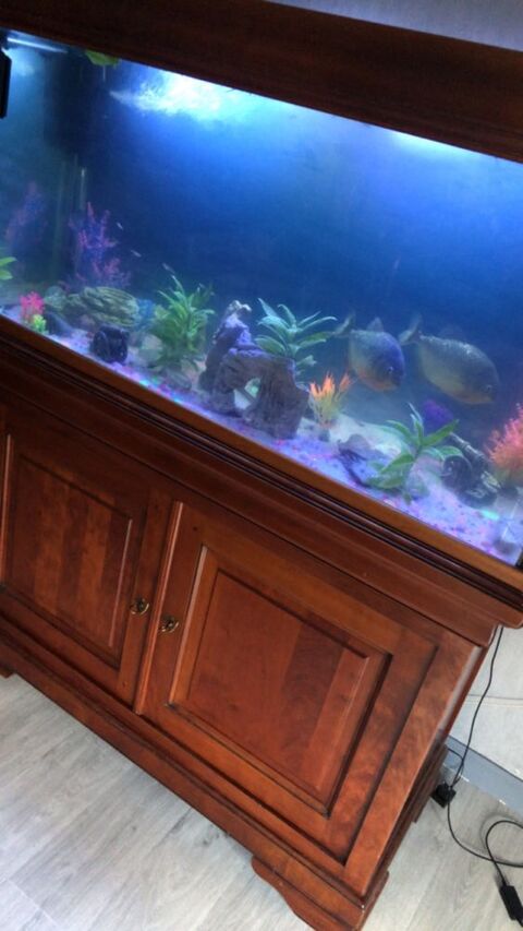 Aquaruim 250 Roissy-en-Brie (77)