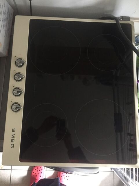 Plaque  induction SMEG 300 Moulins (03)