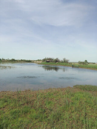  Terrain  vendre 17200 m