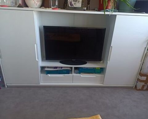 Meuble TV Roche-la-Molière (42)