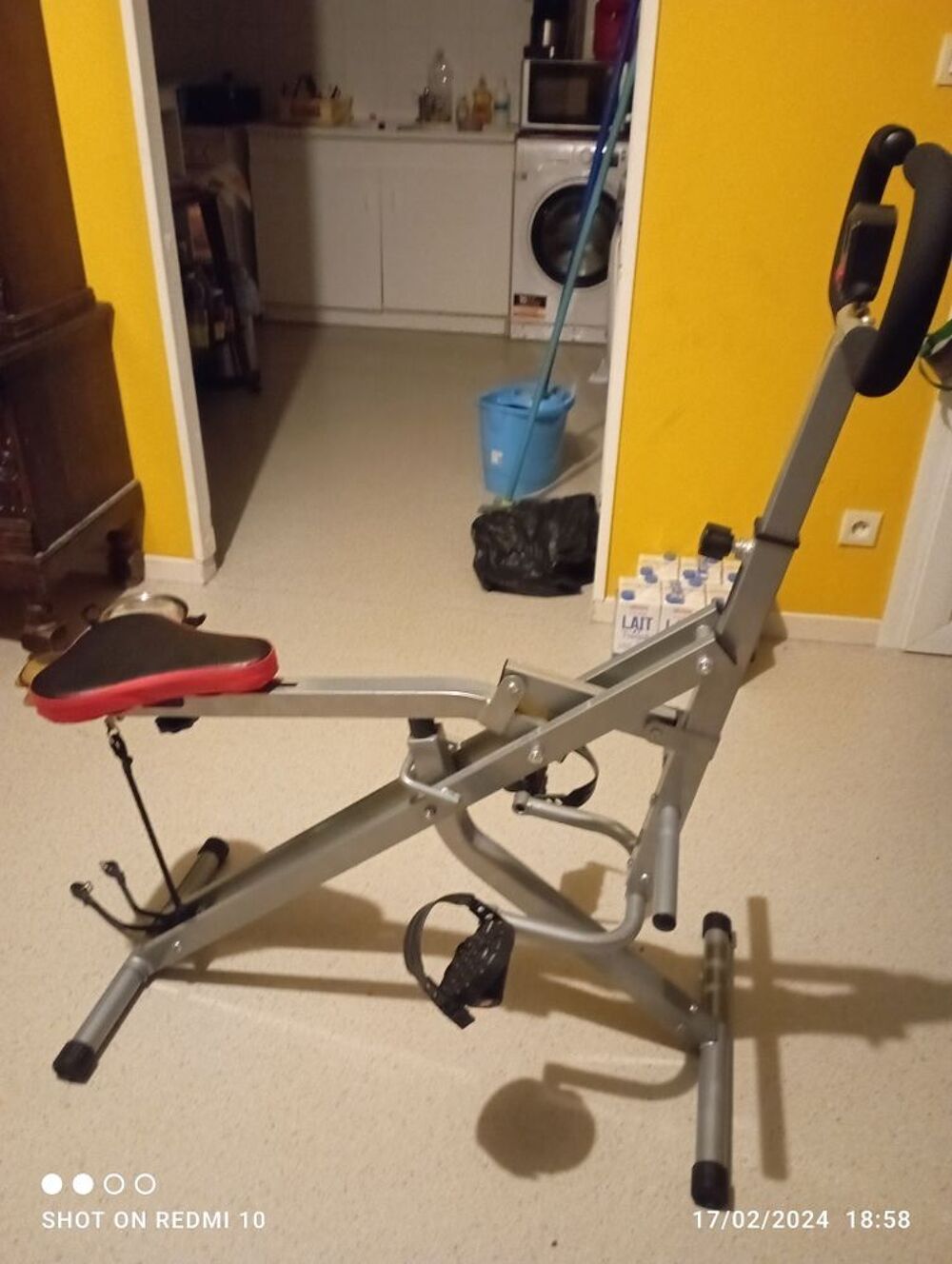 sport Sports