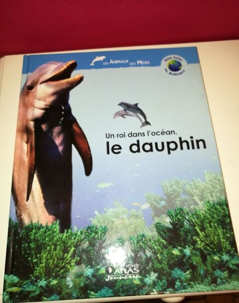 LE DAUPHIN 3 Villiers (86)