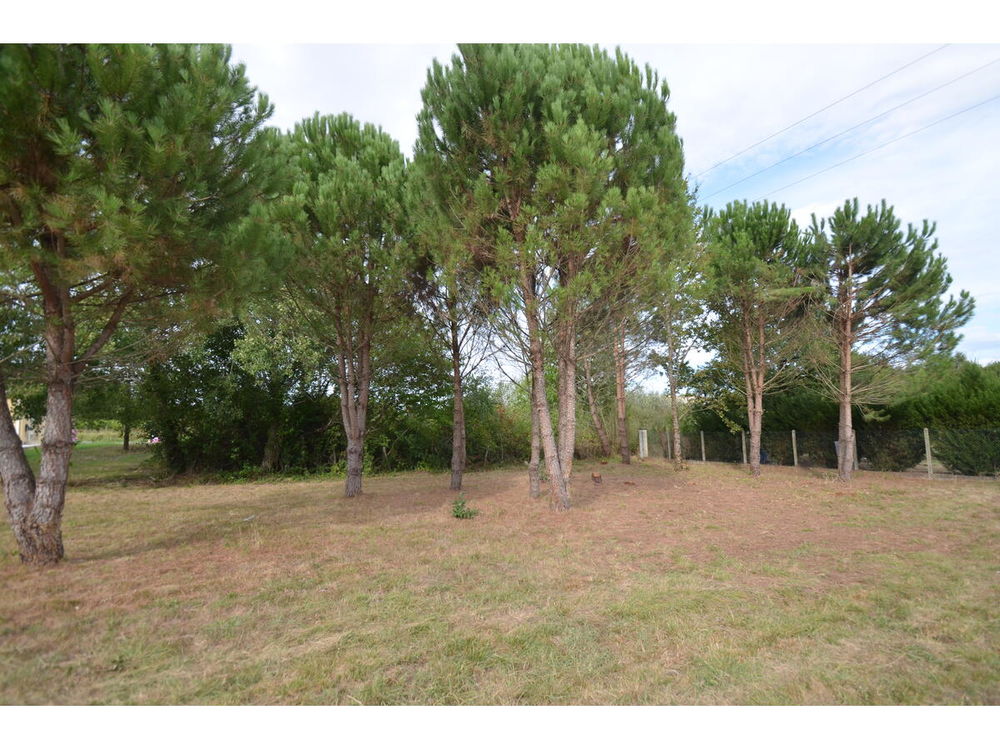 Vente Terrain Terrain Le fieu