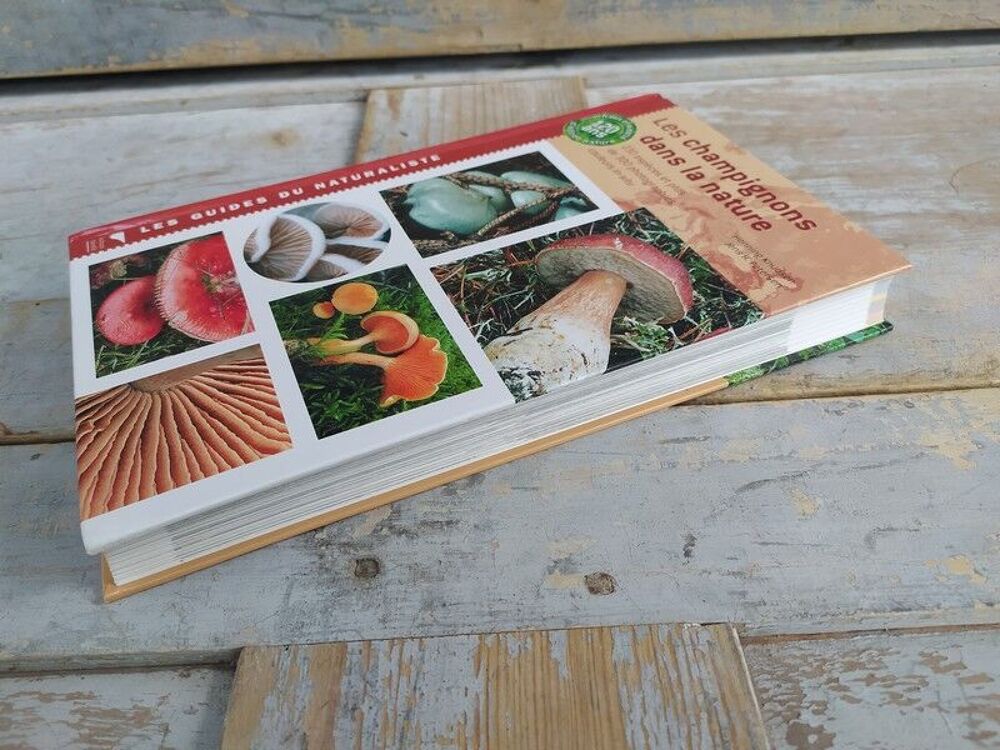 Livre Delachaux et Niestl&eacute; Les Champignons dans la Nature 
Livres et BD