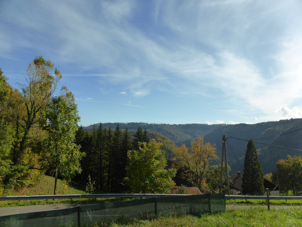 Location Appartement T1 meublé Fournet-blancheroche