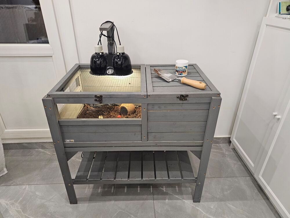  Tortue d'hermann juvénile clos en bois et accessoires 