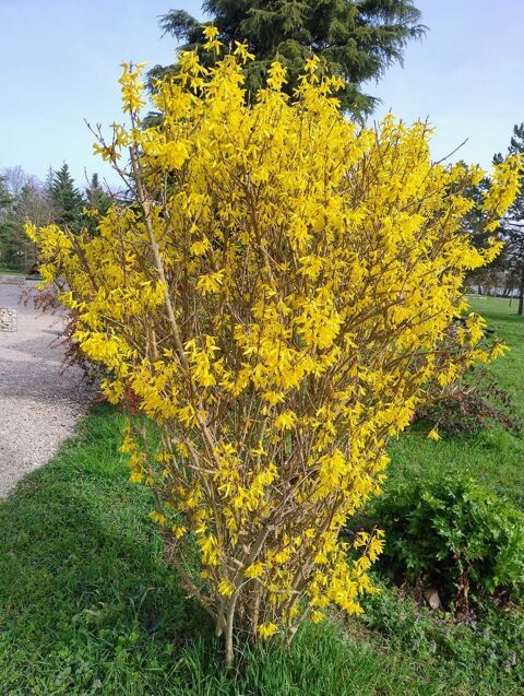 Photographe+Amateur 0 26140 Saint-rambert-d'albon