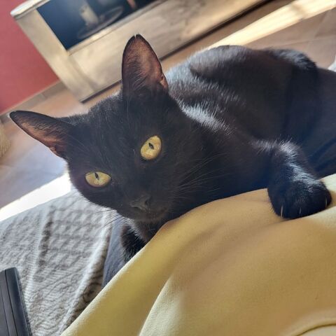 Speak 1 an 180 26240 Ponsas