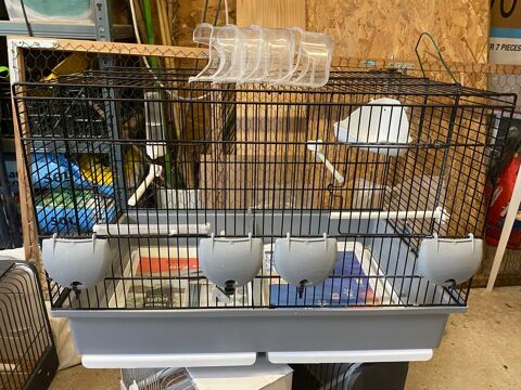 Cage oiseaux 60 76800 Saint-tienne-du-rouvray
