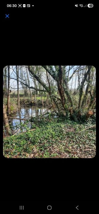  Terrain à vendre 4400 m²