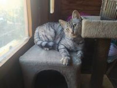   Tsarine attend une famille � elle ! 