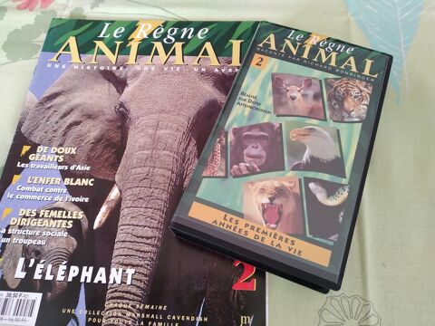 CASSETTES VIDEO LOT DE 6 UNITES      REGNE ANIMAL 20 Gi�vres (41)
