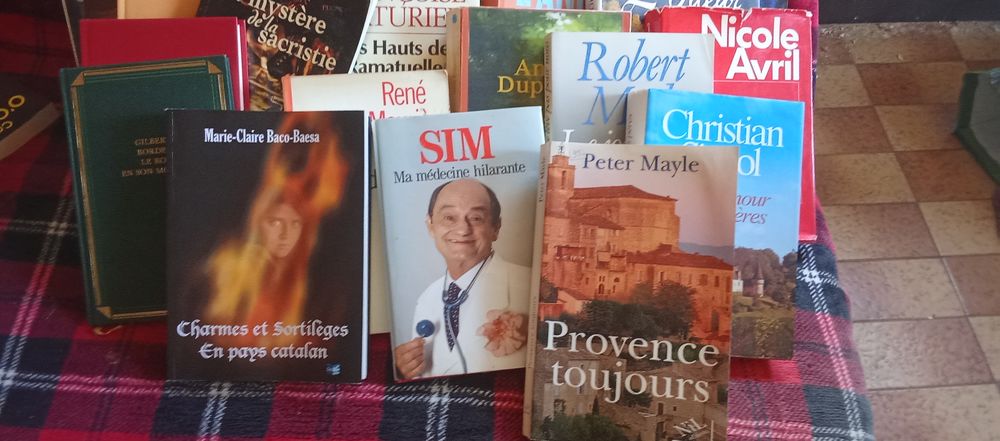 Romans et livres de poche Livres et BD