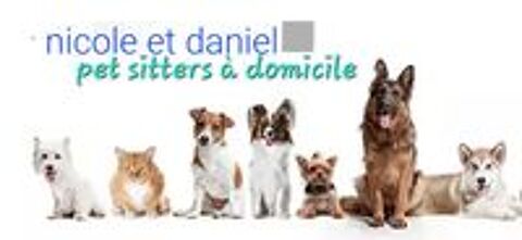   Garde de vos petits toutous  