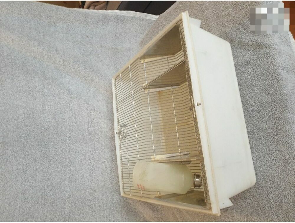 cage &agrave; souris/rats/rongeurs Décoration