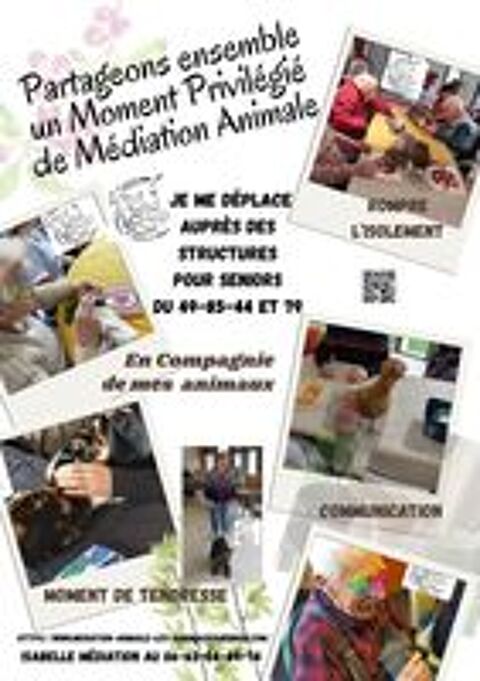   Séances de Médiation Animale -Zoothérapie pour tous 