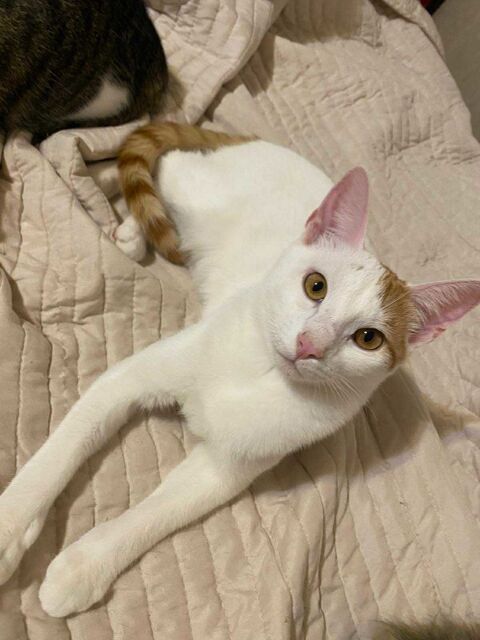 Junior une petite bouille à croquer ! 180 92100 Boulogne-billancourt