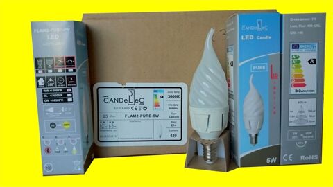 CANDELEC Lot de 25 LED Ampoules FLAM2 PURE Culot E14 5W 420 40 Saint-P�tan (22)