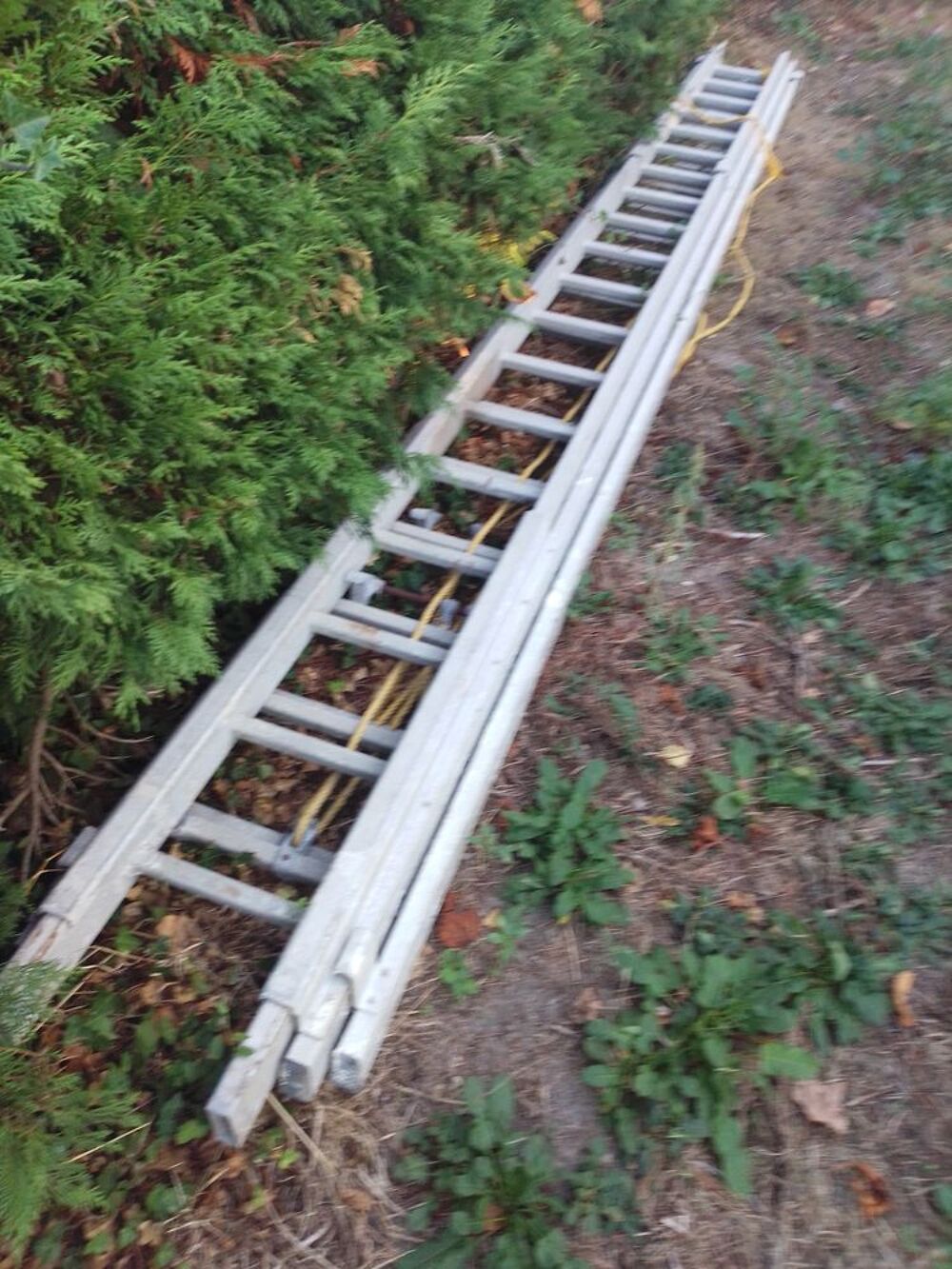 &eacute;chelle a coulisse Bricolage