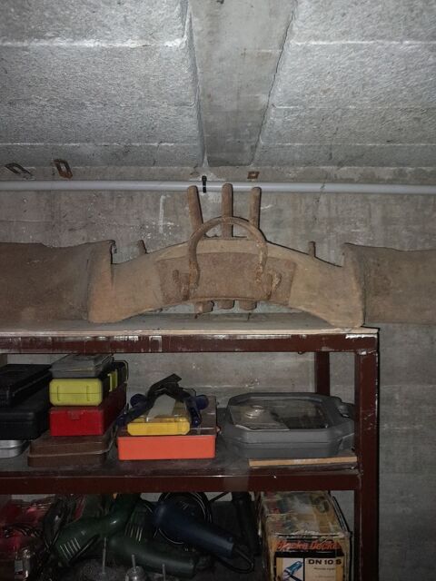 Joue buffle 120 Saint-Martin-du-Fr�ne (01)