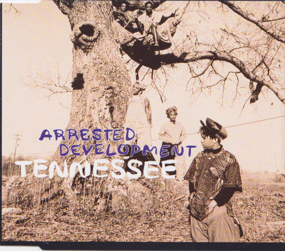 cd maxi Arrested Development ?? Tennessee (etat neuf) CD et vinyles