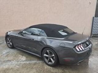 Mustang Convertible 3.7L V6 2017 occasion 25420 Bart