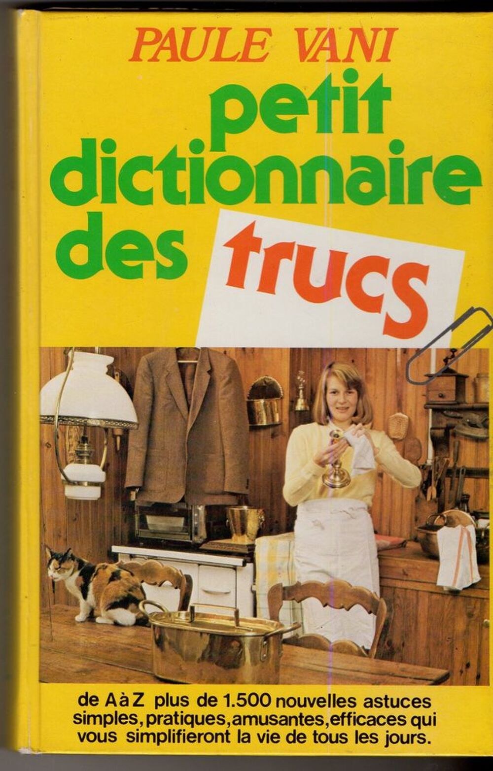 Petit dictionnaire des trucs - Paule Vani Livres et BD