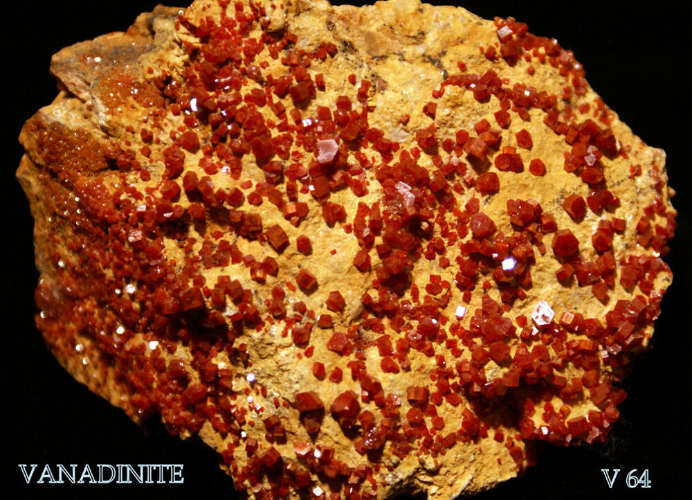 VANADINITE - MINERAUX DE COLLECTION 