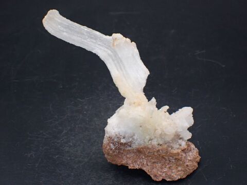 Gypse fibreux  ?Corne de B�lier? ou en Crosse , Trapani 158 Bertrichamps (54)